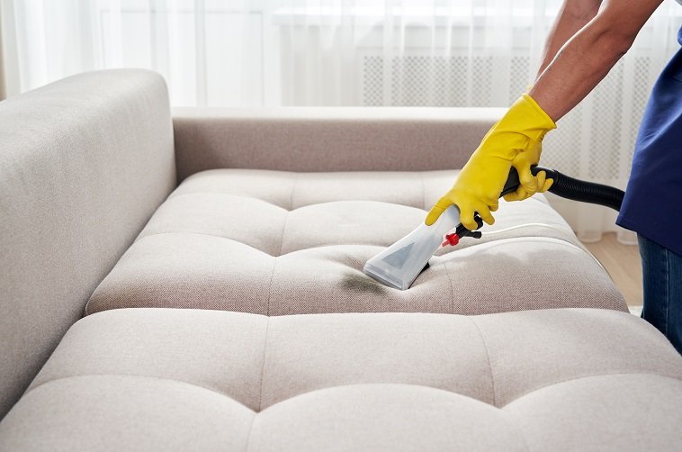 couch cleaning manly