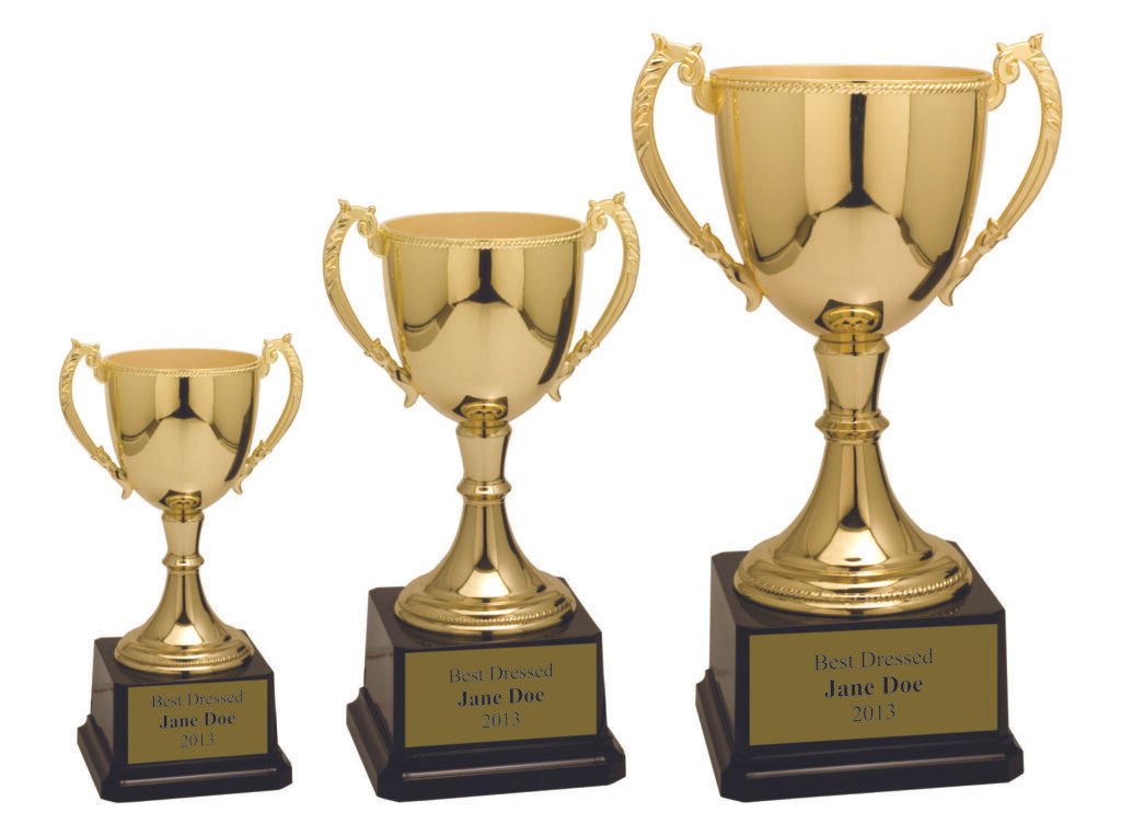 Academic Achievement Trophies