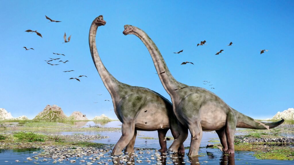 Sauropods