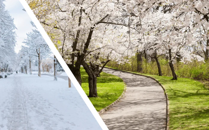 How Seasonal Weather Patterns Influence Mold Testing in Lutz, FL diy mold test seasonal changes da b cd ce deb x