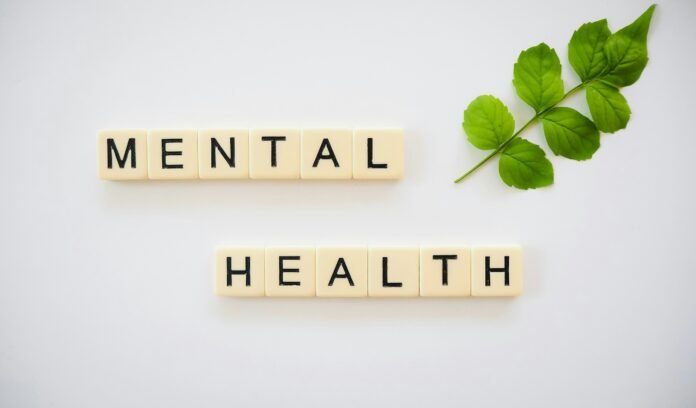 The Connection Between Mental Health and Drug Rehab Mental Health and Drug Rehab